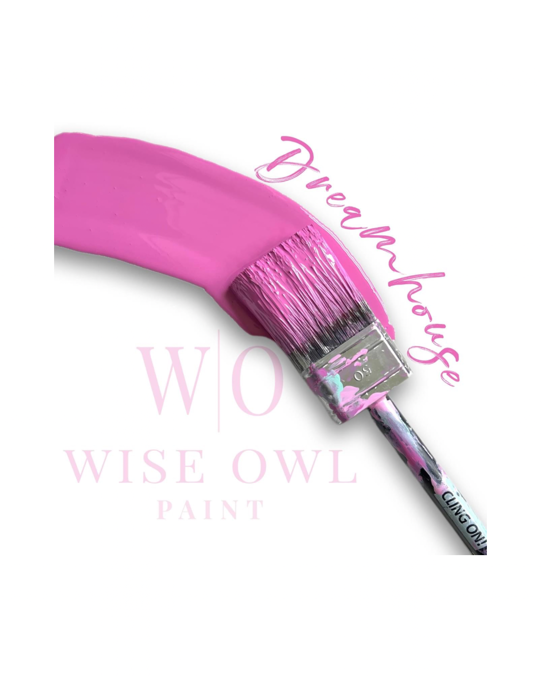 Wise Owl Chalk Synthesis Paint - Dreamhouse